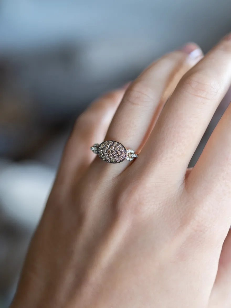 Amori Ring Champagne Diamant NR11941BR + Luxe Cadeau
