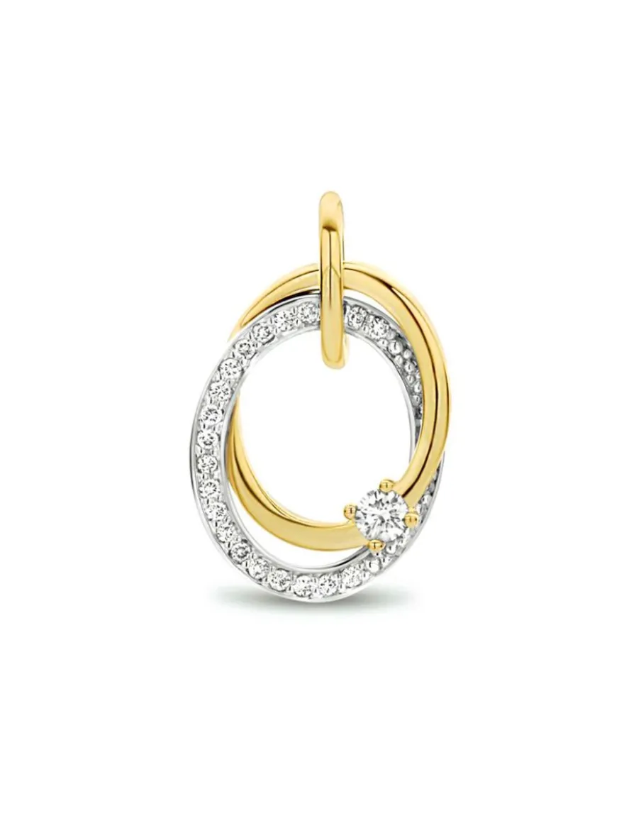 Bicolor hanger rond met briljant 0.14crt. + Luxe Cadeau