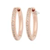 Bron Lux creolen met champagne diamant 7OR477916CBR