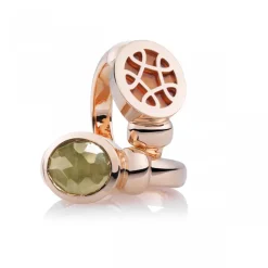 BRON Piccolo ring met Hessoniet 8RR4843HE + Luxe cadeau