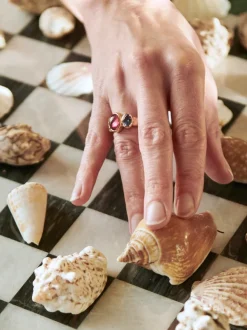 Bron Sushi ring met toermalijn en tanzaniet 8RR4902TBRTCGT