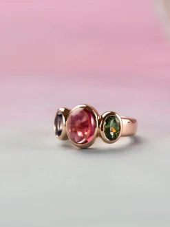 Bron Sushi ring met toermalijn en tanzaniet 8RR4902TBRTCGT