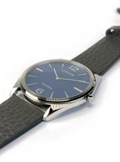 Citizen Suratto AR3120-24L + Luxe Cadeau