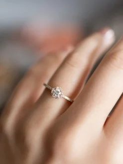 Geelgouden entourage ring met briljant 0,45crt. + Cadeau