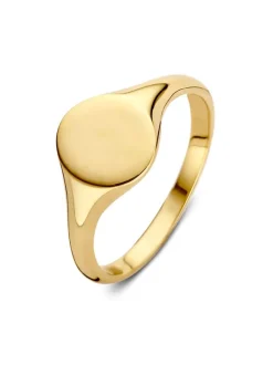 Geelgouden zegelring ovaal + Luxe Cadeau