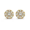Oorstekers geelgoud briljant 0,80 crt. + luxe cadeau