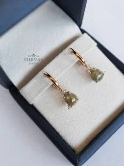 Roos Ice Diamond oorsieraad met diamant 3,10crt. 166EA310R18 + Luxe Cadeau